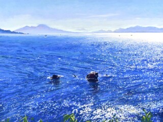 Vesuvius and the bay of Naples from Procida Island Pastel 59 x 79 cm SOLD