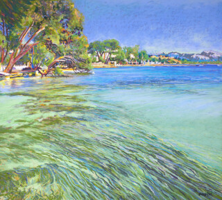 Pinewalk reflections [currently in Tots Interiors Pollensa] pastel 81 x 93 cm